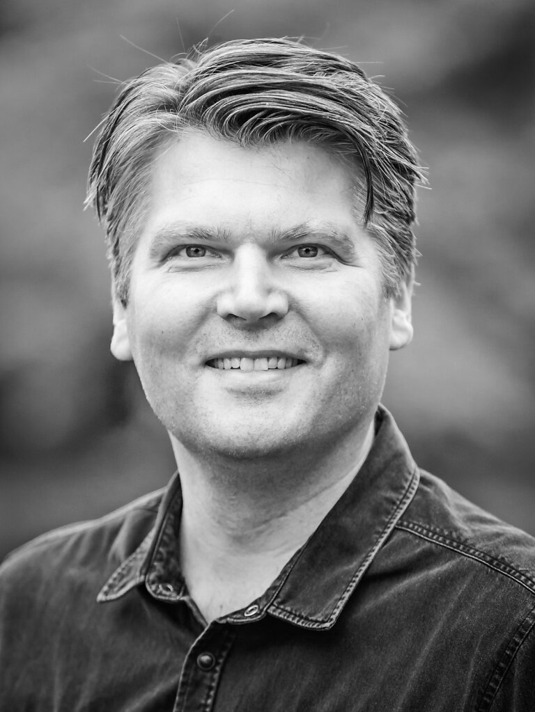 Portræt II